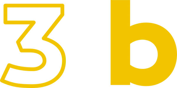 3B